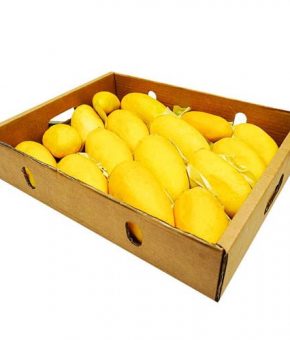 Sindhri Mangoes Box 5KG