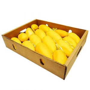 Sindhri Mangoes Box 5 KG